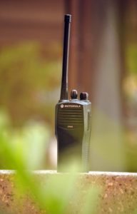 Walkie Talkie
